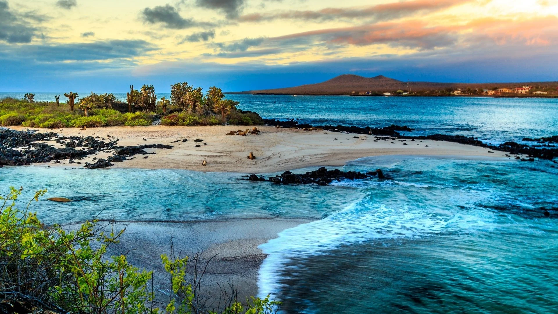 Islas Galápagos